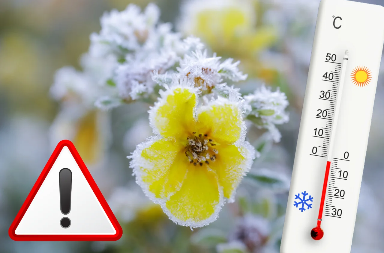 "Zimni ogrodnicy" nadciągają! Ostrzeżenia IMGW w całym kraju!