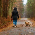 Minusowe temperatury już w tym tygodniu! Ci mieszkańcy Polski muszą szykować się na przymrozki i przygotować grube kurtki