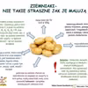Ziemniak - nie takie straszne jak...