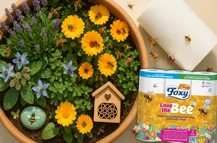 Zdjęcie Mały balkon, wielka pomoc! Sprawdź, jak pomóc pszczołom nie ruszając się z domu #1