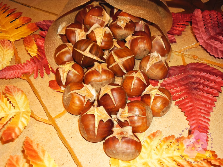 Pieczone kasztany