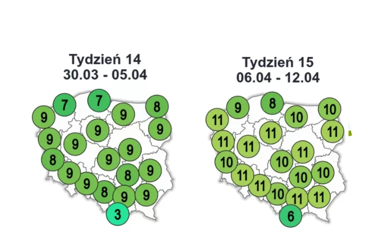 Zdjęcie Jaka pogoda na Wielkanoc 2026? lMGW podało temperatury maksymalne - Polacy niezadowoleni #1