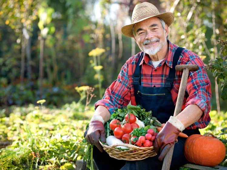 Zdjęcie Oprysk z drożdży na pomidory i ogórki - słynny przepis ogrodników! #3