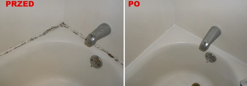 Zobacz jak pozbyć się pleśni z łazienki – naturalny sposób