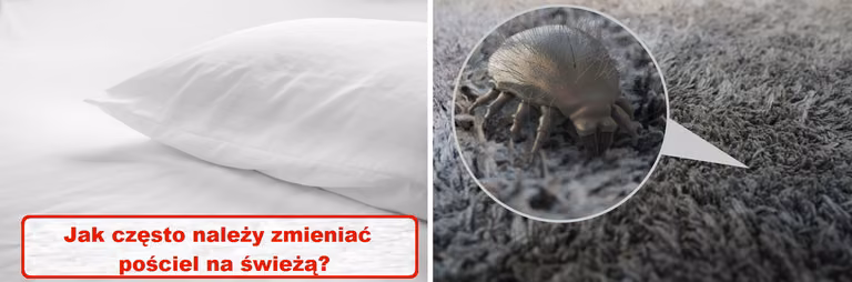 A Ty jak często ZMIENIASZ POŚCIEL?