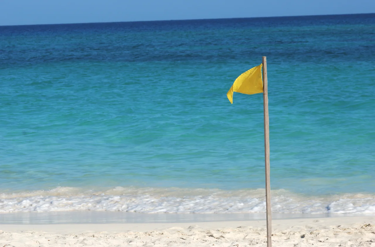 Co oznaczają kolory flag na plaży? Musisz to wiedzieć, zanim pojedziesz na wakacje!
