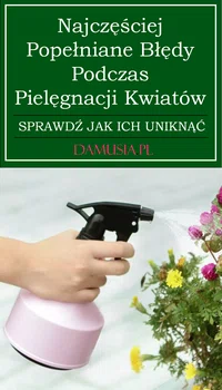 Najczęściej Popełniane Błędy Podczas Pielęgnacji Kwiatów – Sprawdź Jak Ich Uniknąć