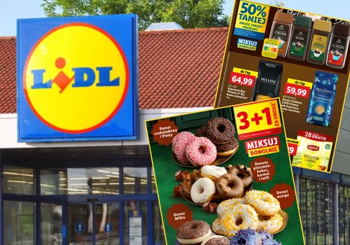 W Lidlu wystartowała mega oferta! Od dziś promocja 3+1 oraz rabat 50%
