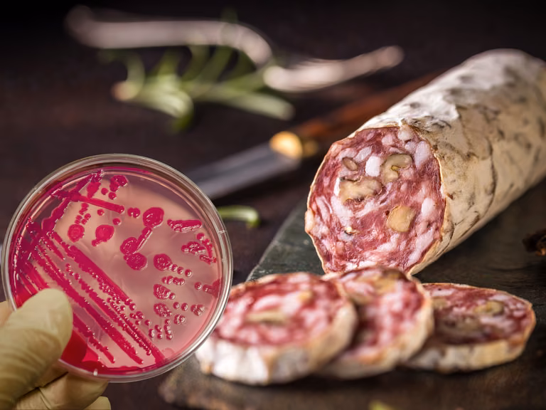 Salmonella wykryta w salami z Lidla! GIS ostrzega