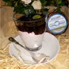 Pudding chia na jogurcie owczym