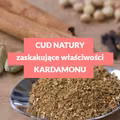 Cud natury - kardamon i jego właściwości zdrowotne (+przepis na kawę z kardamonem)