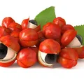 Guarana nie tylko na odchudzanie