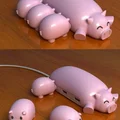 Świnka usb