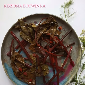 KISZONA BOTWINKA