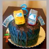 Tort opona