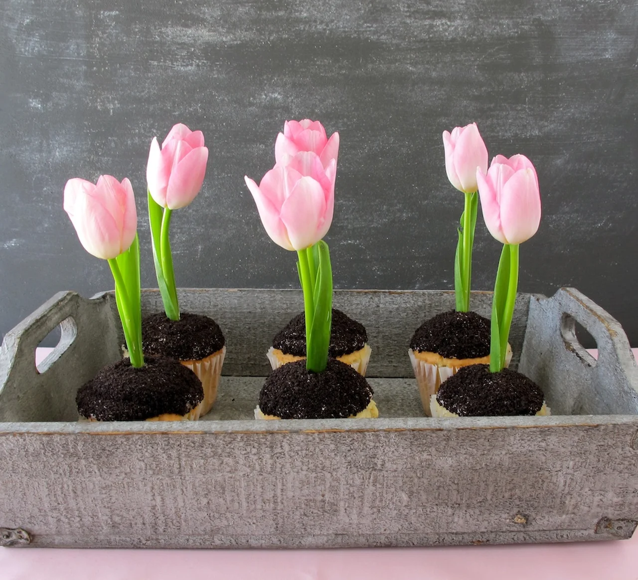 Babeczkowe tulipany