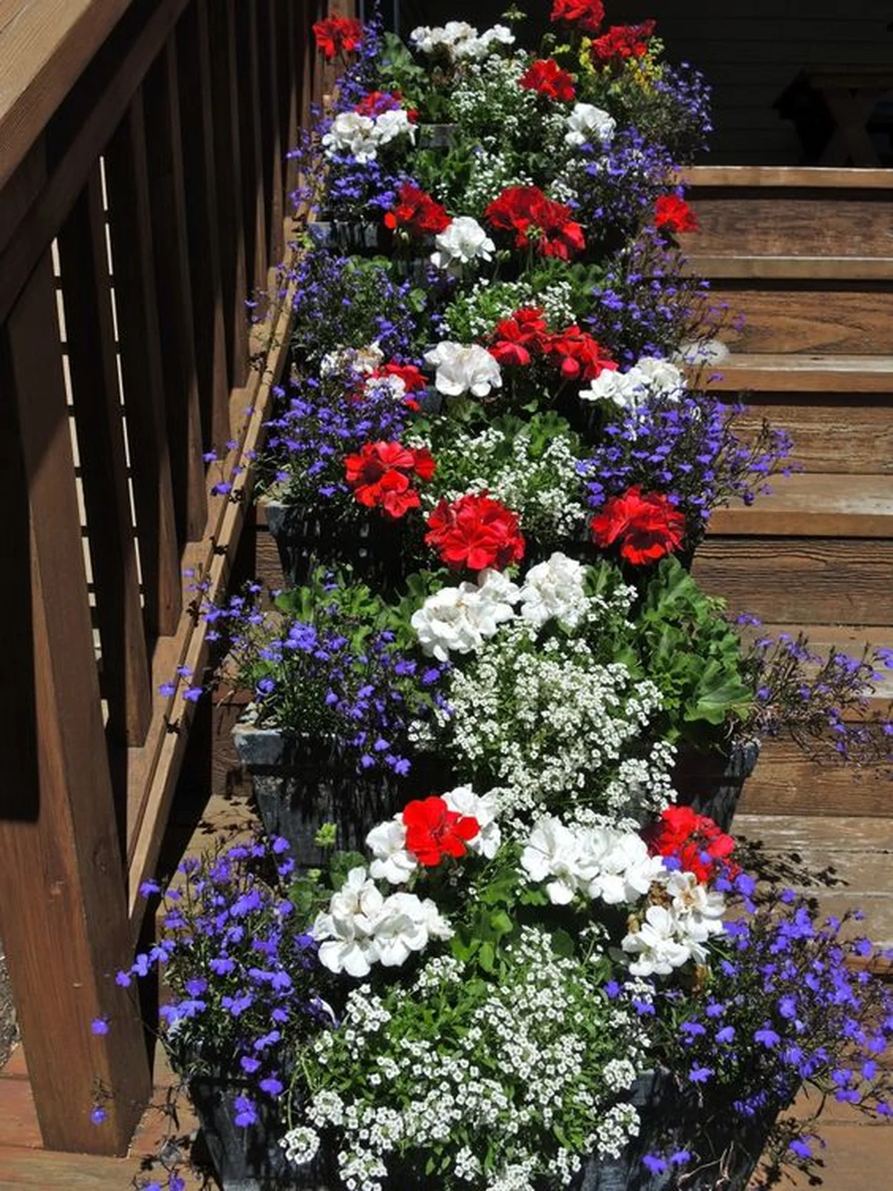 Kwiaty na schodach