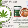 Maść z Konopi na Stawy