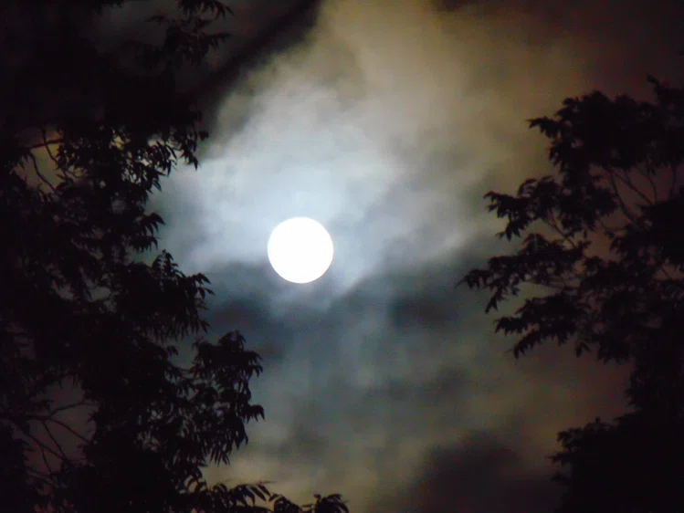 Zdjęcie Truskawkowa Pełnia Księżyca już dziś! #1
