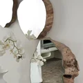 Lustra z pni
