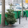 Co zrobić z choinką po świętach? Jest kilka możliwości!