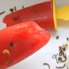 TRUSKAWKOWE LODY NA BAZIE ZIELONEJ HERBATY