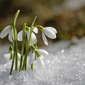 IMGW ostrzega Polaków! Temperatura spadnie nawet do -4 stopni