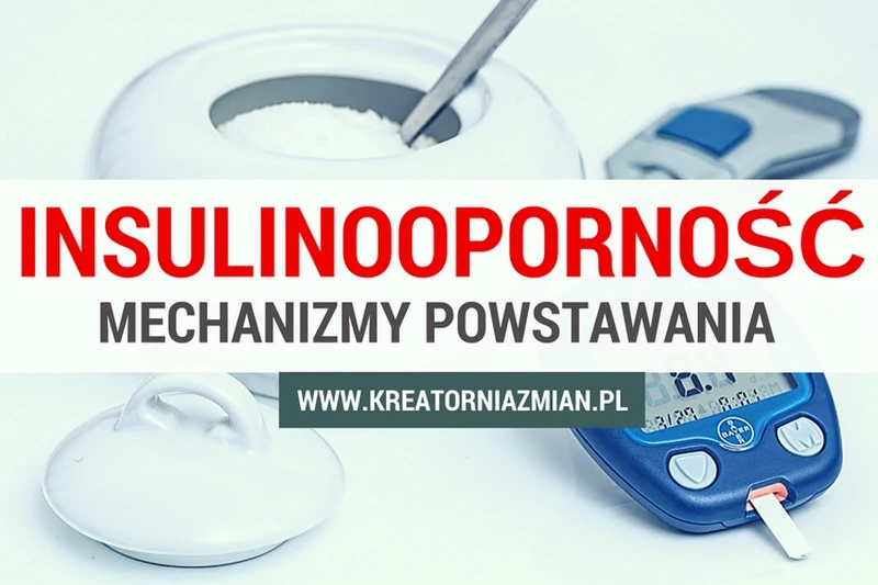 Insulinooporność - mechanizmy powstawania