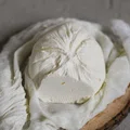 Najłatwiejszy ser na świecie. Ser z jogurtu greckiego - Labneh.