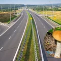 Pojechałam na grzyby i przeżyłam szok! Grzybiarze na autostradzie -"Czy to normalne?" pyta zbulwersowana Ewa. [LIST]