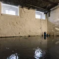 Ten grzyb najczęściej atakuje domy po powodzi! Sprawdź, jak zwalczyć toksyczne gatunki