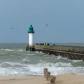 Nadciągają wichury i roztopy! Możliwe alerty IMGW.
