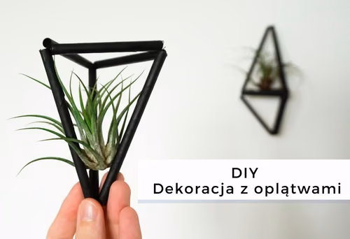 DIY Dekoracja z oplątwami • origamifrog.pl