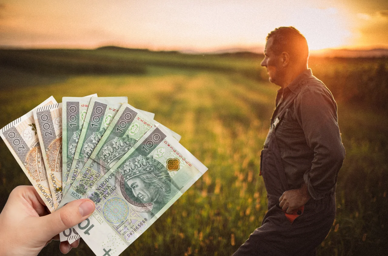 Polskie rolnictwo w kryzysie! Minister zapowiada miliardowe wsparcie