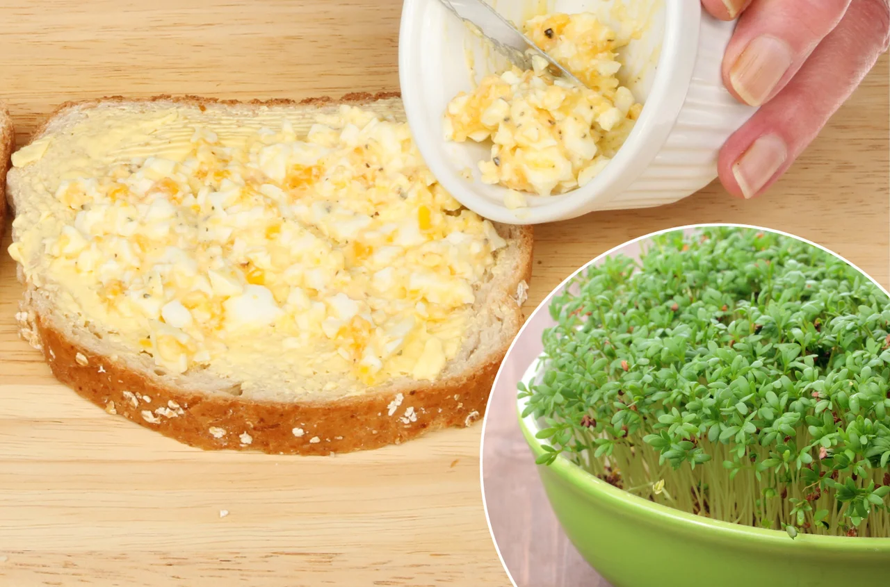 Zamiast sałatki jarzynowej – te przepisy z rzeżuchą zachwycą Twoich gości na Wielkanoc!