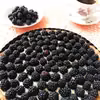 Tarta budyniowa z jeżynami