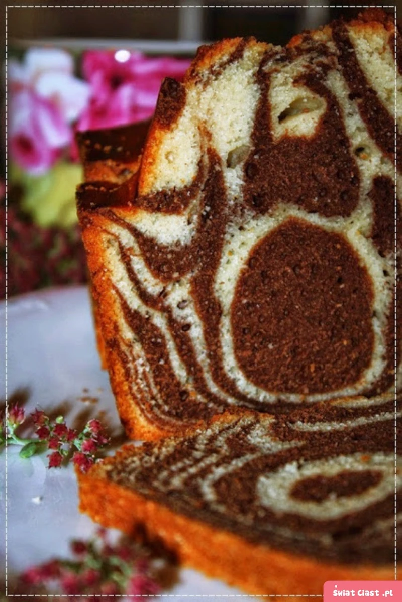 Babka Zebra na Coca Coli