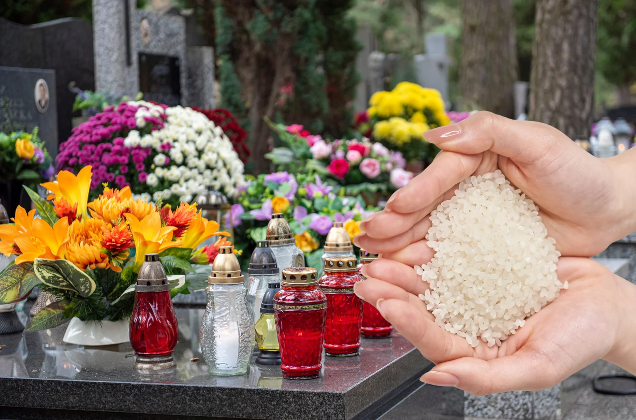 Wsyp to na dno doniczki, a kwiaty przetrwają nawet przymrozki! Babcin trik, który działa do dziś!
