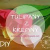 Tulipany z krepiny i bibuły - kurs krok po kroku