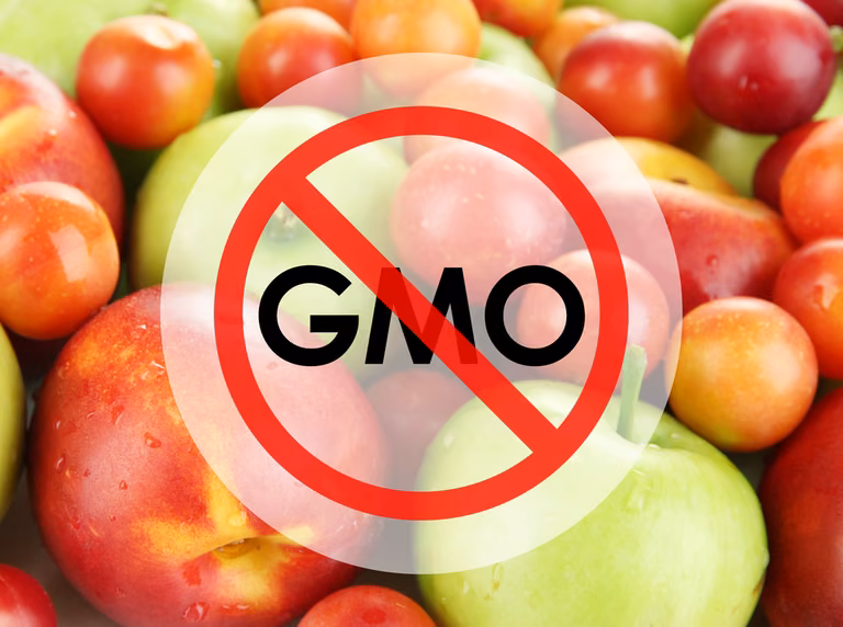 Jak rozpoznać owoce GMO?