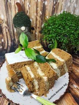 Biszkopt kakaowy z 8 jaj bez proszku do pieczenia z pysznym kremem budyniowo-makowym