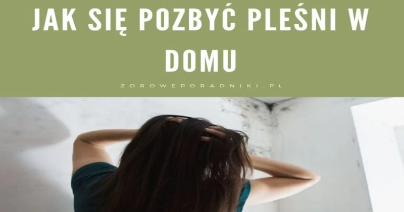 Jak się pozbyć pleśni w domu