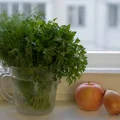 Zachowaj smak lata w koperku! Odkryj niezawodną metodę z odwróconym słoikiem!