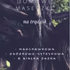 Domowe maseczki na trądzik - przepisy