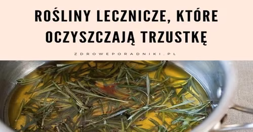 Rośliny lecznicze, które oczyszczają trzustkę