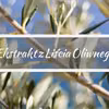 Ekstrakt  z liścia oliwnego - na co pomaga?