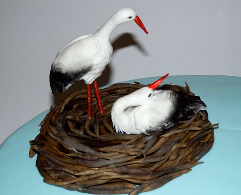 Tort z bocianami