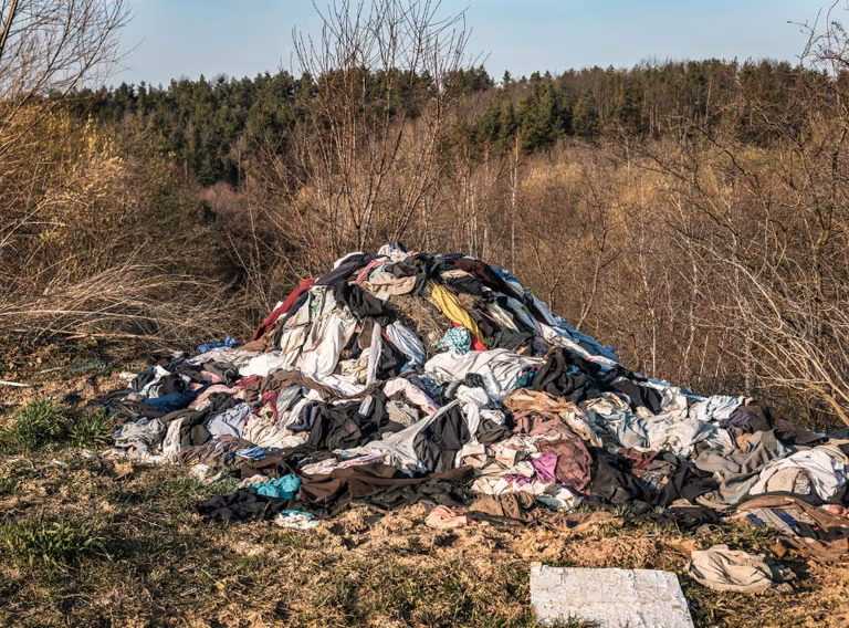 To już plaga! Polacy zasypują lasy starymi ubraniami, bo legalne rozwiązania są mało dostępne?