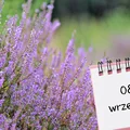 Kartka z kalendarza: 8 września - imieniny, gwiazdy, nietypowe święta! Odkryj sekrety tego dnia!