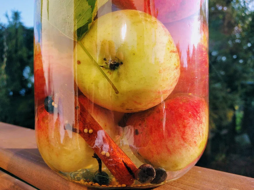 Kiszone jabłka w słoikach